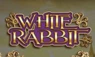 White Rabbit casino